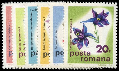 Buy Romania 2575 80 Flowers 1975 Arpin Philately
