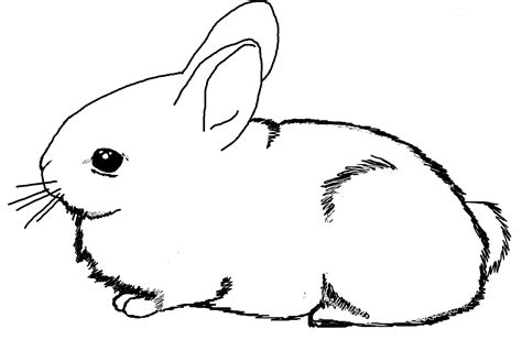 Bunny Coloring Pages | Free download on ClipArtMag