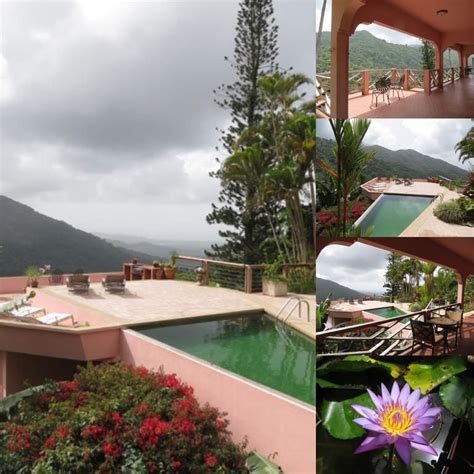 See 54 traveler reviews, 75 candid photos, and great deals for apartamentos mayaguez, ranked #14 of 67 specialty lodging in puerto rico and rated 4.5 of 5 at tripadvisor. Booking.com: Casa Flamboyant Bed & Breakfast , Naguabo ...