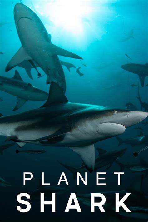 Planet Shark Tv Series 2022 Imdb