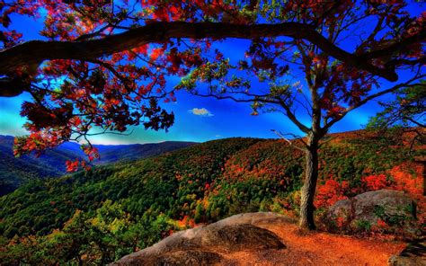 Find the best screensavers and wallpaper autumn scene on getwallpapers. Fall Landscape Wallpapers - Wallpaper Cave
