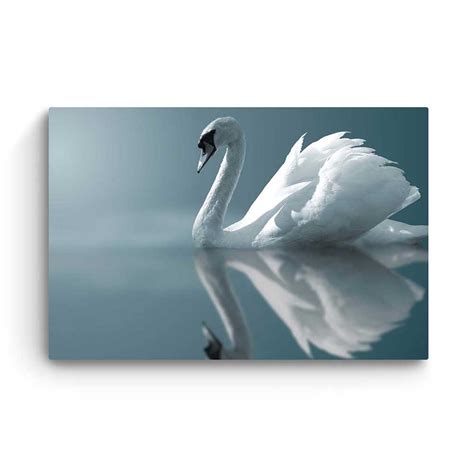 Canvas Wall Art White Swan On Water Birds Framed Lys Og Art