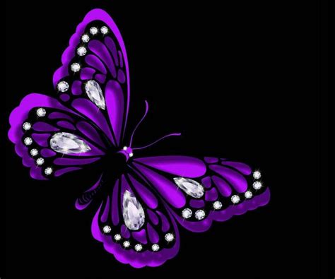 Purple Butterfly Purple Butterfly Purple Purple Love