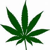 Marijuana Leaf Images