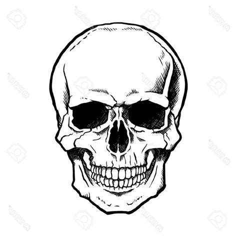 Pin By Conrad Merkle On Skull Easy Skull Drawings Skulls Drawing