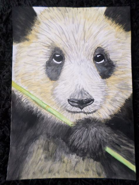 Watercolor Painting Panda 2016 Panda Watercolor Paintings Fox