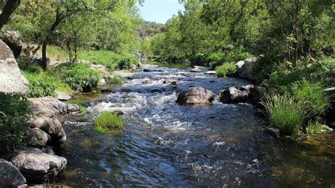 Ríos y naturaleza requieren de protección legal y derechos | El Heraldo