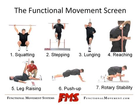 Fms Functional Movement Systems Flexibilityrx™ Performance Based Flexibility Training