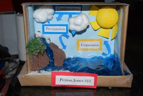 Keeping Up With The Joneses Water Cycle Project