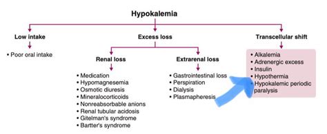 Hypokalemia Differential Diagnosis Algorithm Low Grepmed
