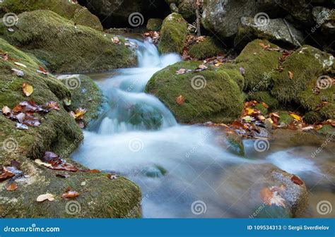 Cascades On A Clear Creek In A Forest Stock Image Image Of Light
