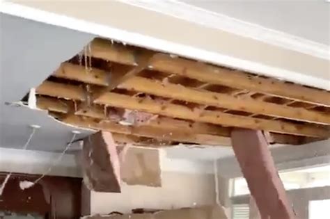 Water Damaged Ceiling Collapse Shelly Lighting