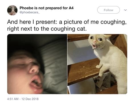 The Coughing Cat Is Maybe The Last Meme To Win The Internet Maybe