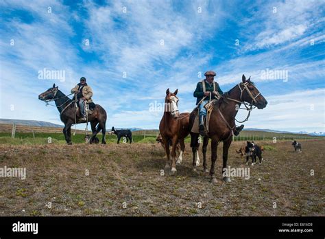 Torres Del Paine Horse Riding Hi Res Stock Photography And Images Alamy