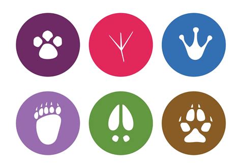 Vector Animal Footprints Download Free Vector Art Stock Graphics