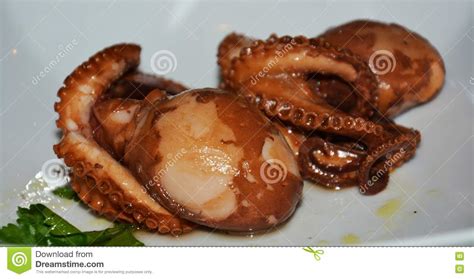 Healthy Tasteful Octopus Fresh Fish Background Stock Image Image Of