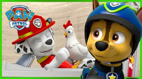 Chase And Marshall Save Chickaletta 🐓 Paw Patrol Rescue Episode