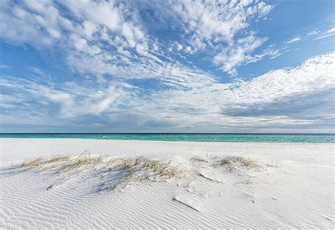Winter Beach Day By Bill Chambers Winter Beach Gulf Coast Florida