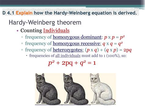Option D Evolution D4 The Hardy Weinberg Principle Ppt Download