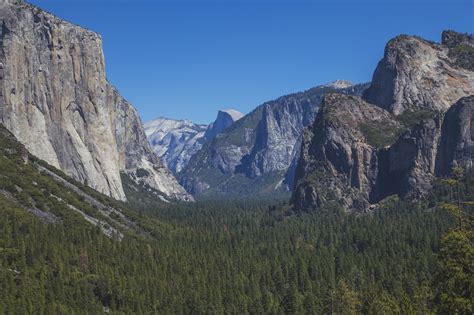10 Most Forested States In The Us Insider Monkey