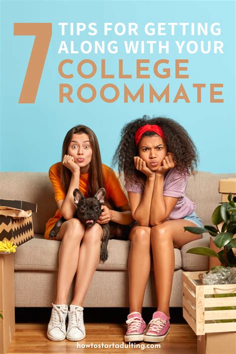 7 tips for getting along with your difficult college roommate how to start adulting college