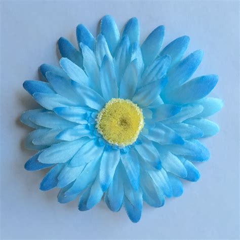 Free Photo Light Blue Flower Bloom Blossom Blue Free Download