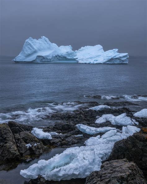 Grounded Triton Iceberg Gord Follett MARKET