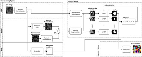 Schematic Outline Of The Cnn Segmentation Algorithm The Overall