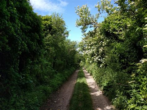 Bridleway To Whiteshard Bottom Heading © Rob Purvis Cc By Sa20