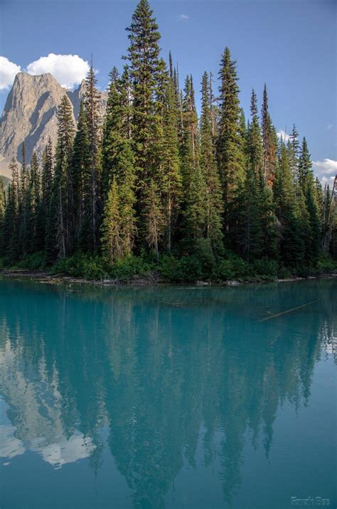 Emerald Lake In Yoho National Park British Columbia Canada 🇨🇦 3264