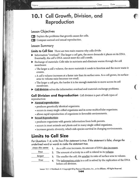 Mitosis Meiosis Book Study Guide Answer Keys Bsc 2086 Studocu