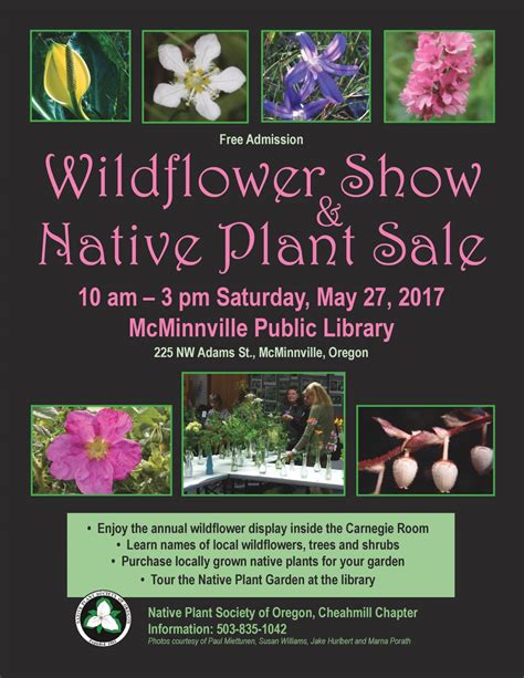 Wildflower Show Mcminnville Oregon