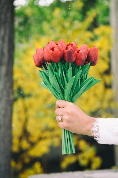 Free Photo A Woman Hand Holding A Bouquet Of Red Tulips