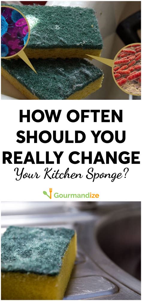 While most cacti are very heat and drought tolerant, christmas cacti are a little different. Do you know how often you should REALLY change your ...