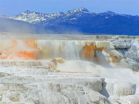 Mammoth Hot Springs Yellowstone National Park Wyoming Photograph By Art