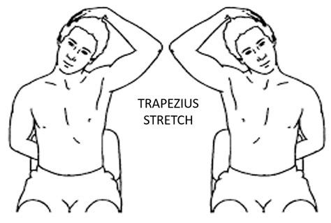 Trapezius Stretches