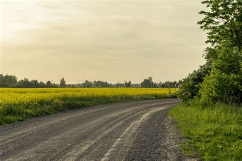 Simple Country Road In Summer Stock Photo Image Of Hill Beauty