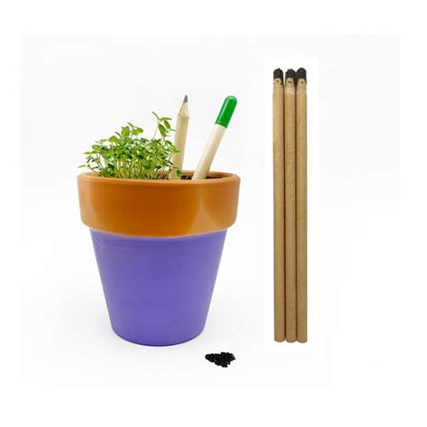 Eco Friendly Popular Plantable Sprouting Seed Pencil With Herb Flower