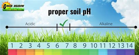 4 Signs Of Acidic Soil Low Ph