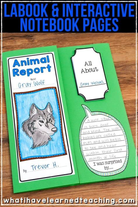 Animal Report For Any Animal Animal Report Fourth Grade Writing