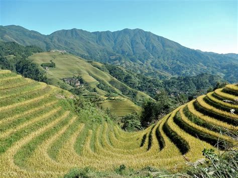 Longji Rice Terraced Fields And Minority Villages Tour With Transfer