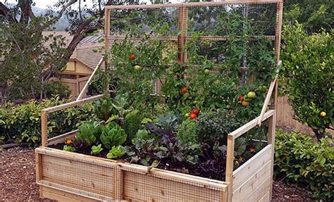 Vegetable Garden Planning For Beginners Olt