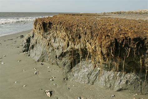 Free Picture Beach Erosion Effects Coast