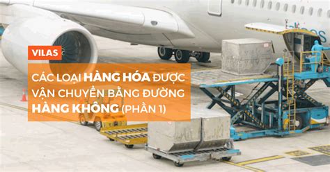 Các Loại Hàng Hóa Vận Chuyển Bằng đường Hàng Không Phần 1 Vilas