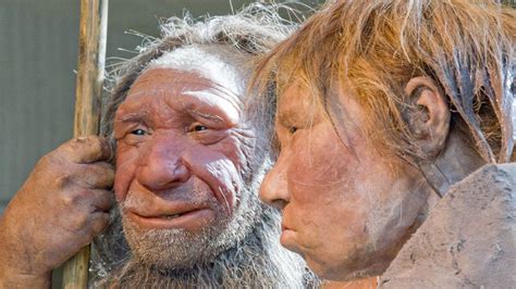 Humans Neanderthals Mated Earlier Than Thought