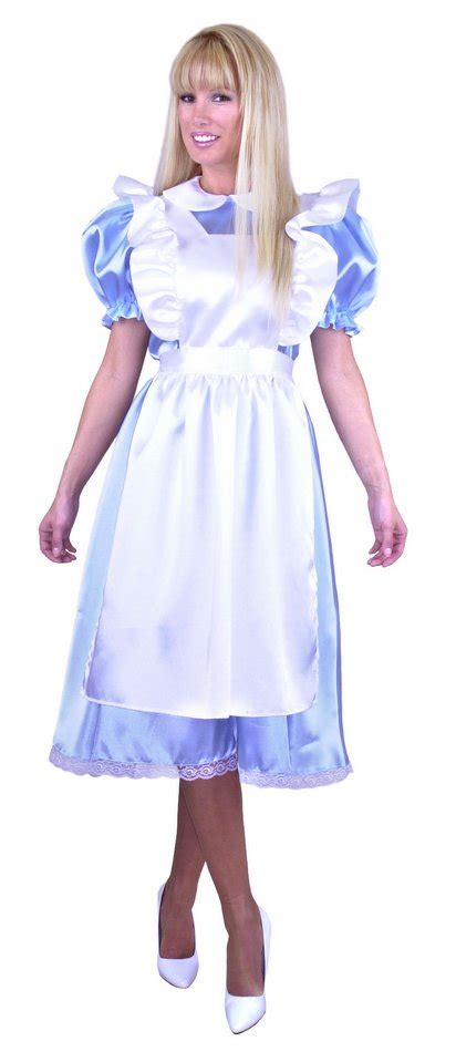 Plus Size Classic Alice In Wonderland Costume Candy
