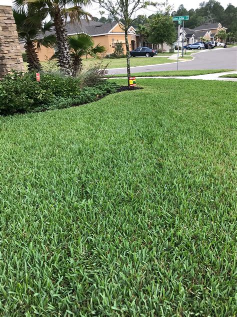 Maybe you would like to learn more about one of these? lawnfertilizationjacksonville - TRUTCO | LAWN CARE ...