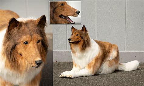 Japanese Man Spends £12500 On Ultra Realistic Dog Costume So He Can