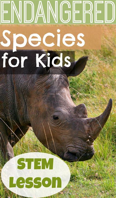 There are many examples of a species' value to society. How to Protect Endangered Species for Kids: The Work of ...