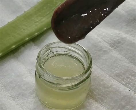 That they're so easily available is just another great. Homemade Aloe Vera Oil For Long And Healthy Hair